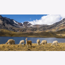 Reise durch Bolivien Karl-Heinz Raach / Drouve Reise...