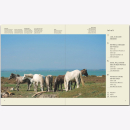 Reise durch die Provence Martin Schlte-Kellinghaus /...