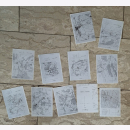 Tagebuch eines Bataillions-Kommandeurs Josef Remold