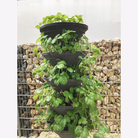 Vertical Garden XL Turm-Hochbeet/Pflanzturm für den Garten: das schneckenfreie Hochbeet/Schiefergrau Garten Blumenbeet Vertikal Pflanzen