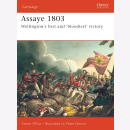 Assaye 1803 - Wellingtons first and bloodiest victory...