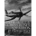 The Skull & Crossbones Squadrons - VF-17 in World War II - Lee Cook