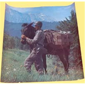 Gebirgsjäger und Kamerad Muli (Poster Nr. 3013)