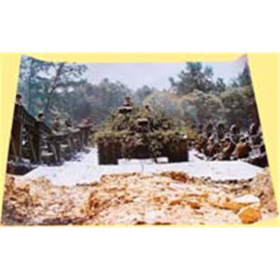 Schwimmbrücke (Poster Nr. 3018)