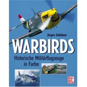 Warbirds - Historische Militärflugzeuge in Farbe